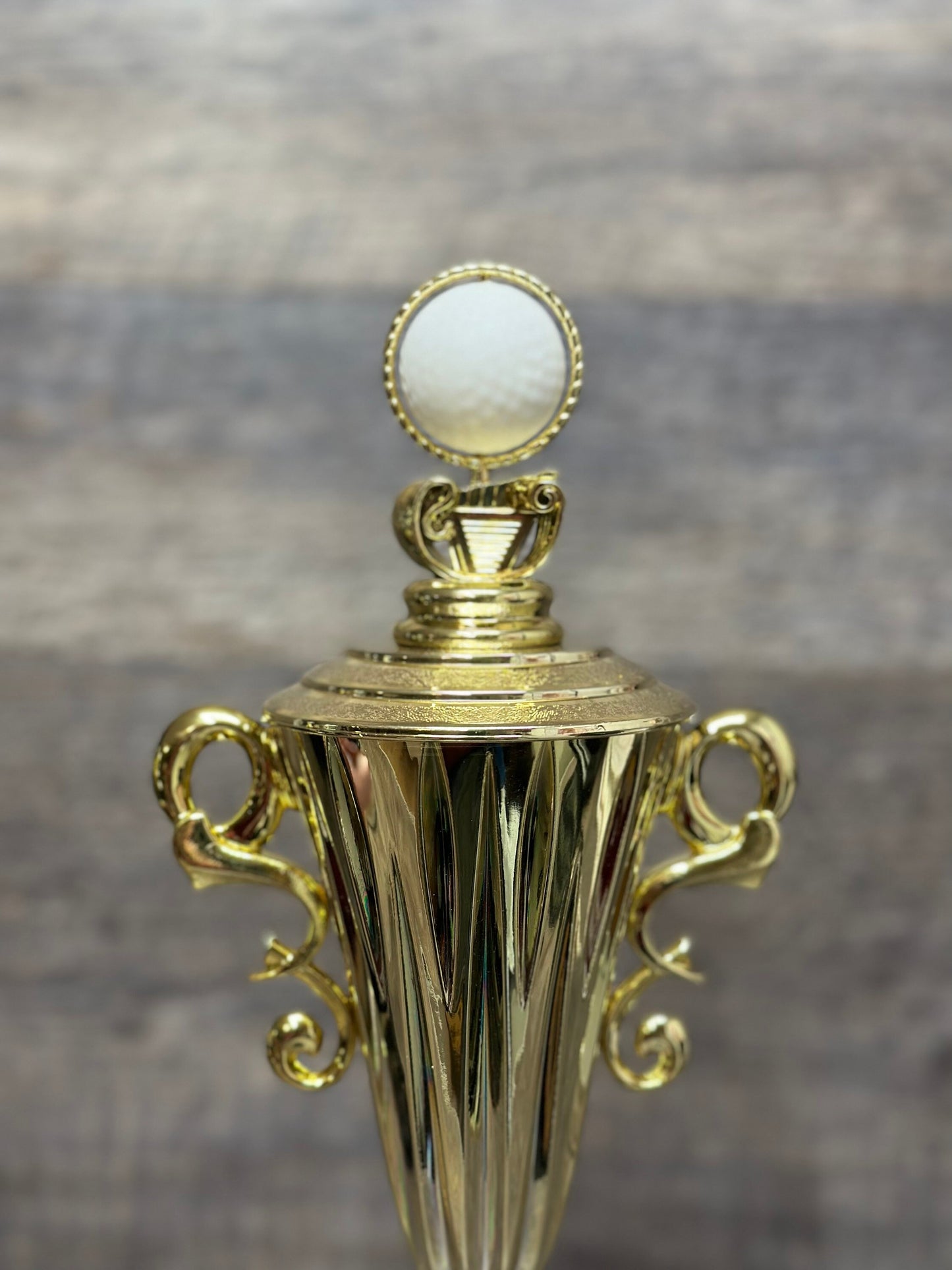 Golf Trophy Cup Tournament Trophy Hole In One Award Charity Event Winner Cup Under Par Guy's Weekend