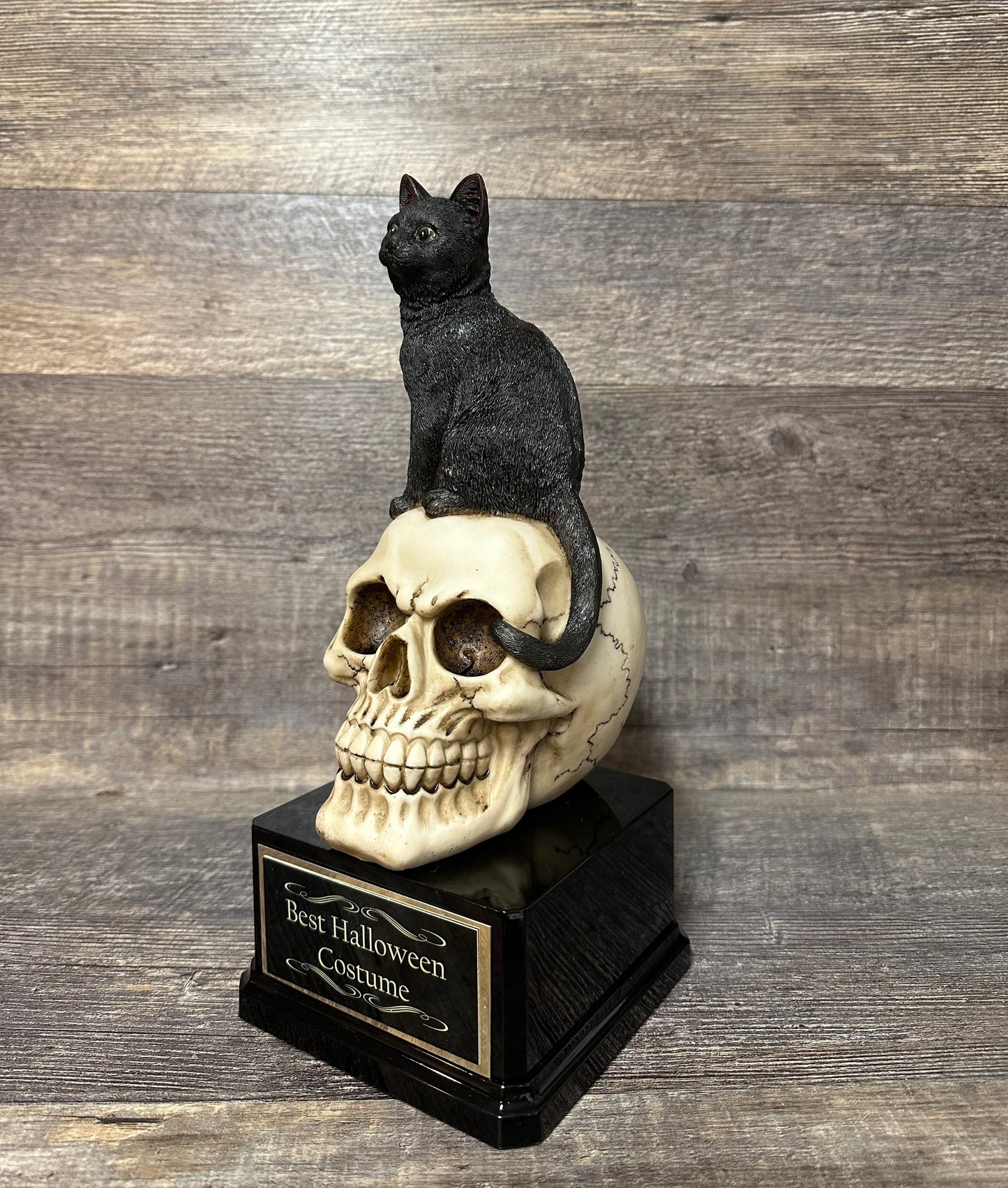 Halloween Trophy Black Cat On A Skull Costume Contest Winner Scariest Costume Pumpkin Carving Halloween Party Decor Dia De Los Muertos