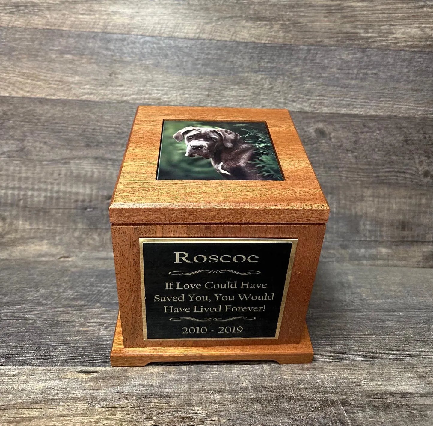 XL Mahogany Dog Urn – Custom Photo Memorial Keepsake Cremation Urn for Large Breed Dogs (Up to 150 lbs) Great Dane Rottweiler Mastiffs