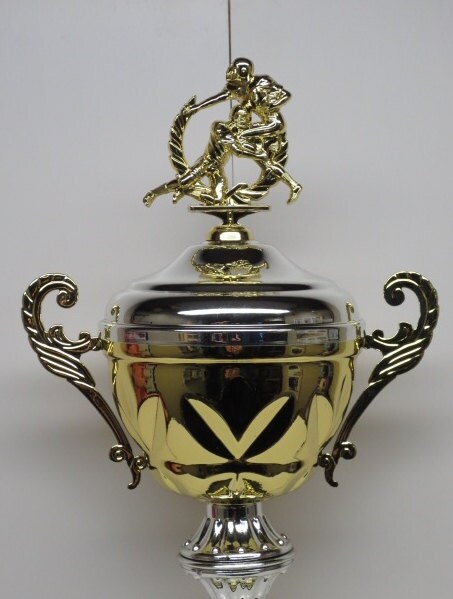 Fantasy Football League Champion Trophy Award Winning Cup