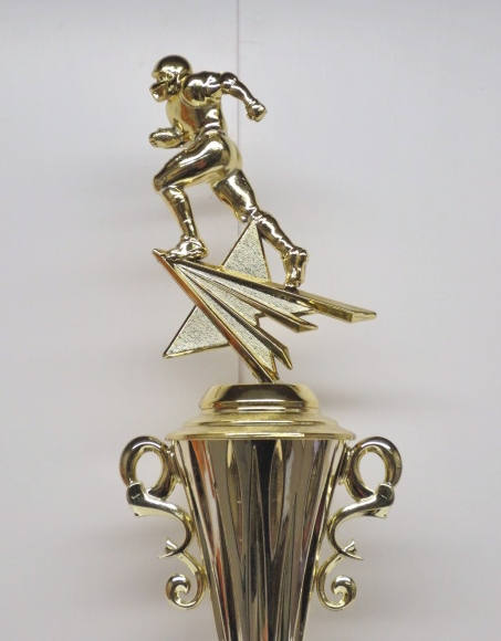 FFL Trophy Fantasy Football Trophy FFL League Champion Champ Trophy Award Gold Winning Cup