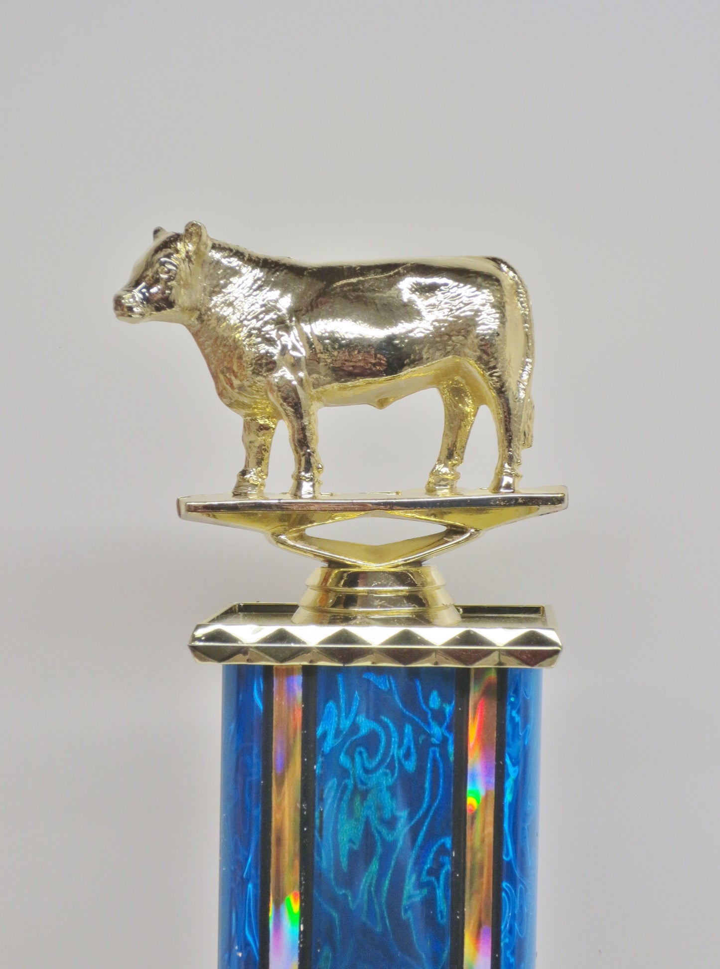 BBQ Trophy Best BBQ Cook Off Trophy Brisket Hamburger Beef Rib Grill Master Cow Trophy Award Champion 4th of July Father's Day Memorial