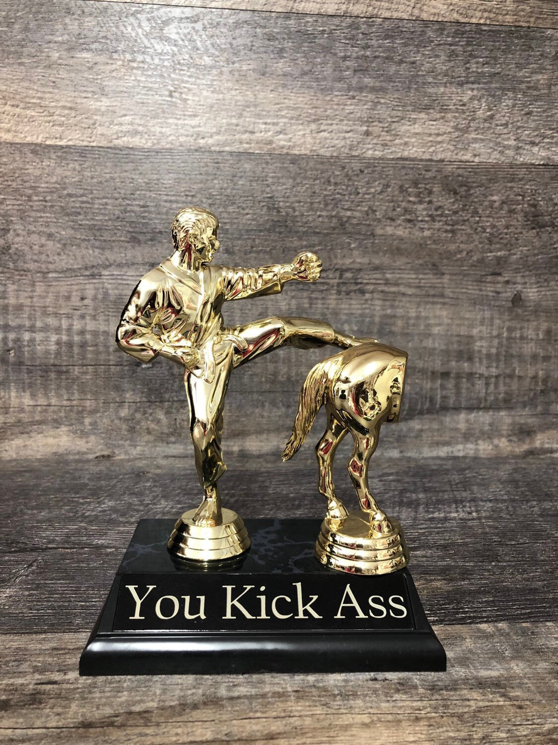 You Kick Ass Funny Trophy Karate Trophy Jack Ass Horses Rear Funny Award Gag Gift Inspirational Top Sales Best Friend Spouse Father's Day