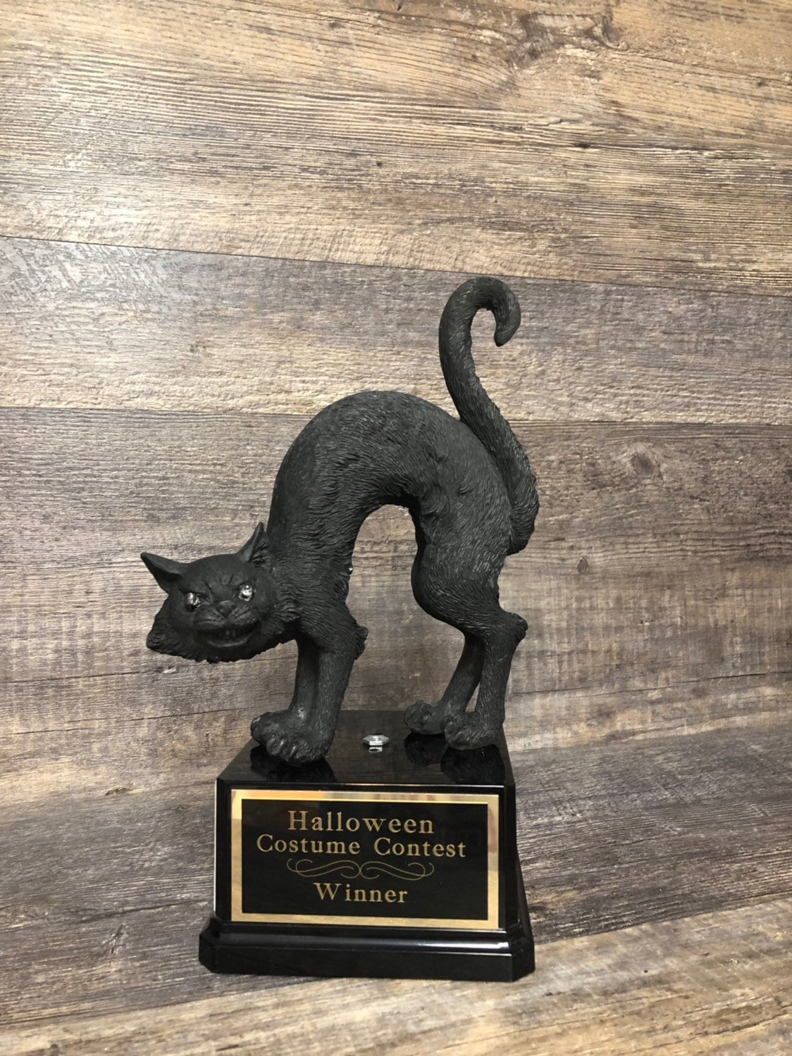 Halloween Trophy Scariest Costume Contest Pumpkin Carving Contest Black Cat LIGHT UP EYES Day of the Dead Dia De Los Muertos Halloween Decor