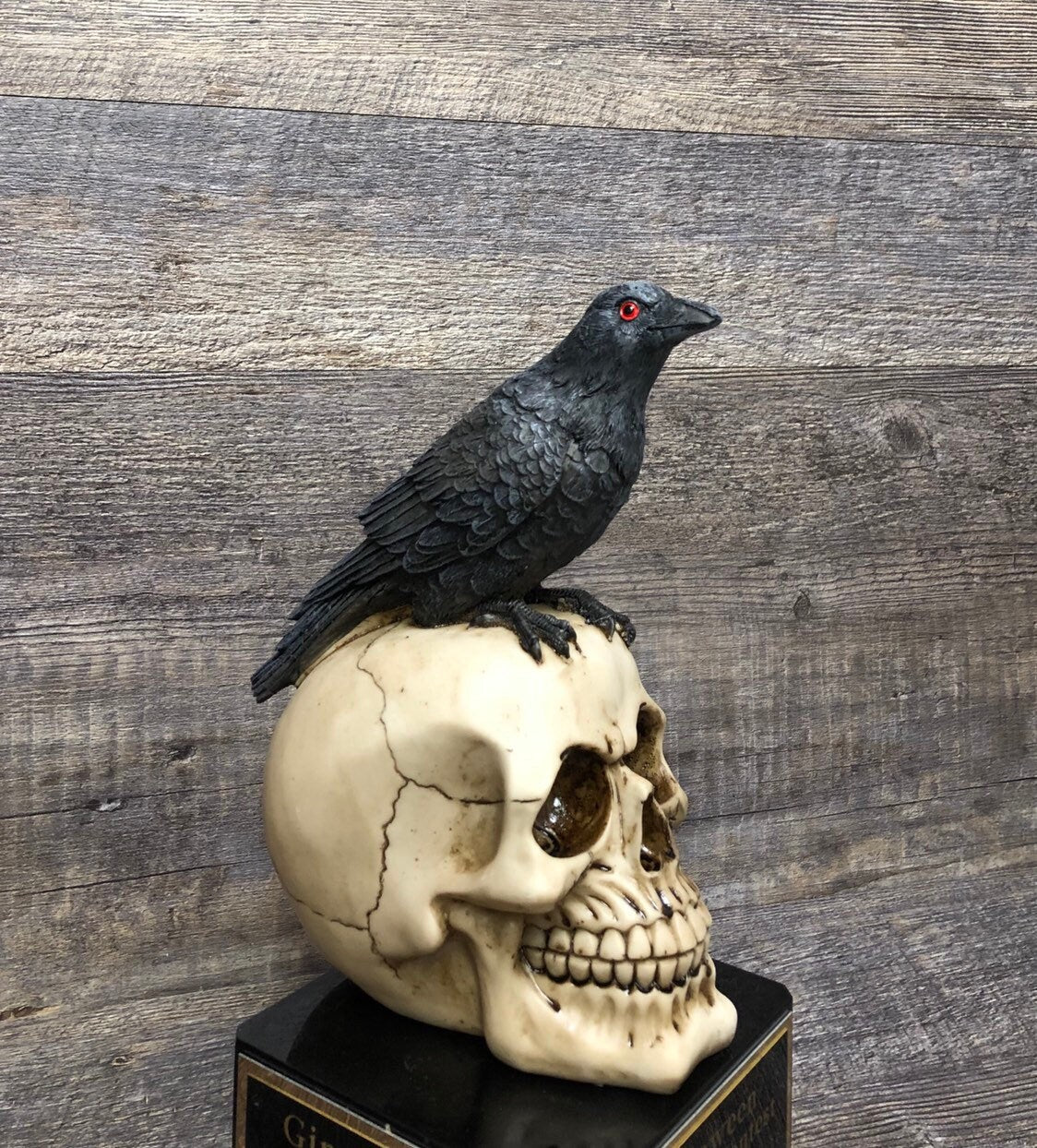 Raven Halloween Trophy Costume Contest Winner Red Eyed Raven Crow on Skull Scariest Costume Trophy Pumpkin Carving Contest Halloween Decor