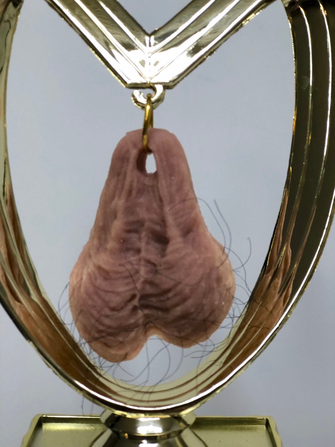 Soccer Trophy Funny HAIRY Balls Football Sacko Loser Trophy Last Place Trophy You Suck HAIRY Balls Trophy Adult Humor Gag Gift Testicle