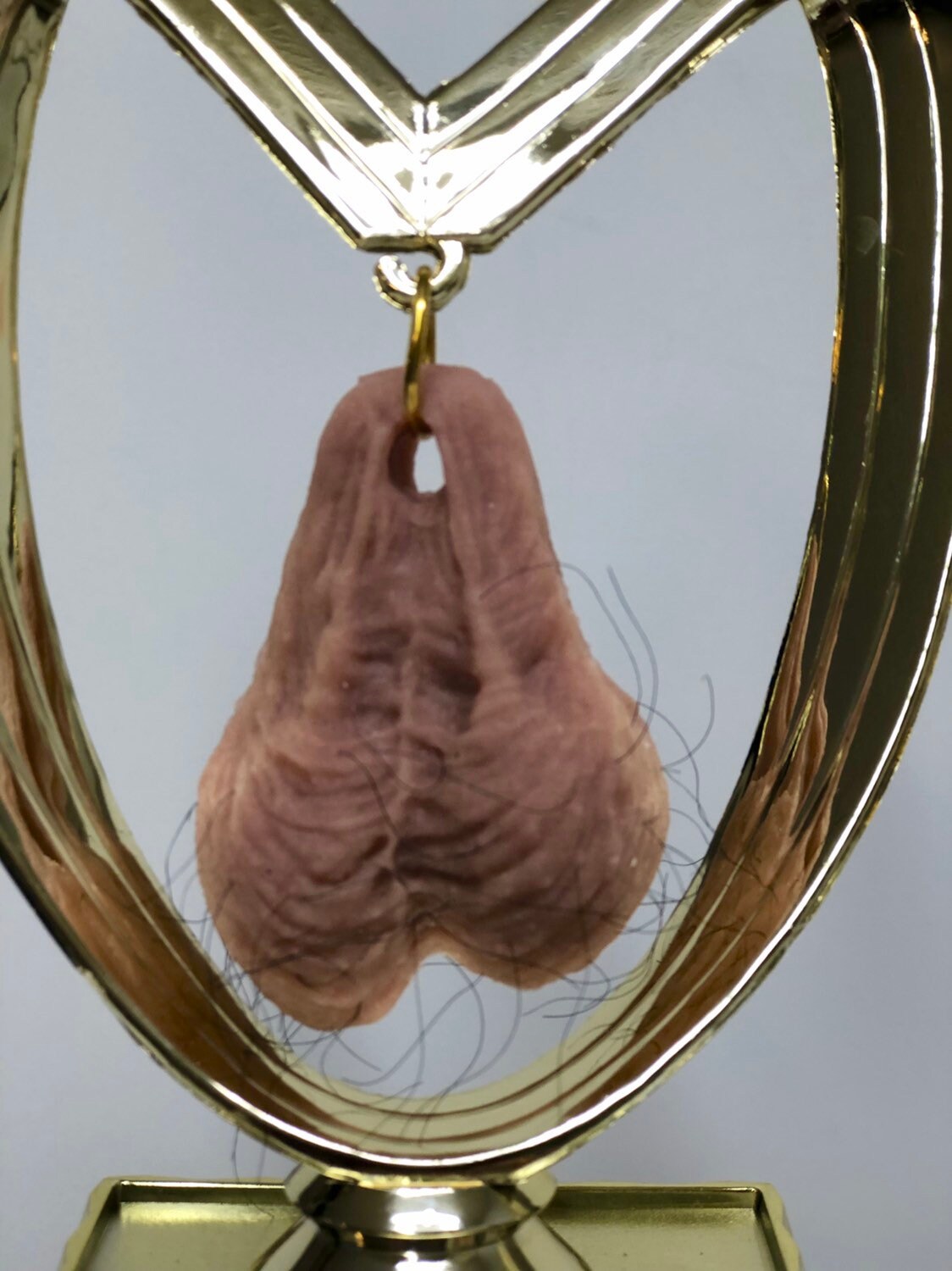 Fantasy Football HAIRY Balls Sacko Loser Trophy Last Place FFL Trophy You Suck HAIRY Balls Funny Trophy Adult Humor Gag Gift Testicle