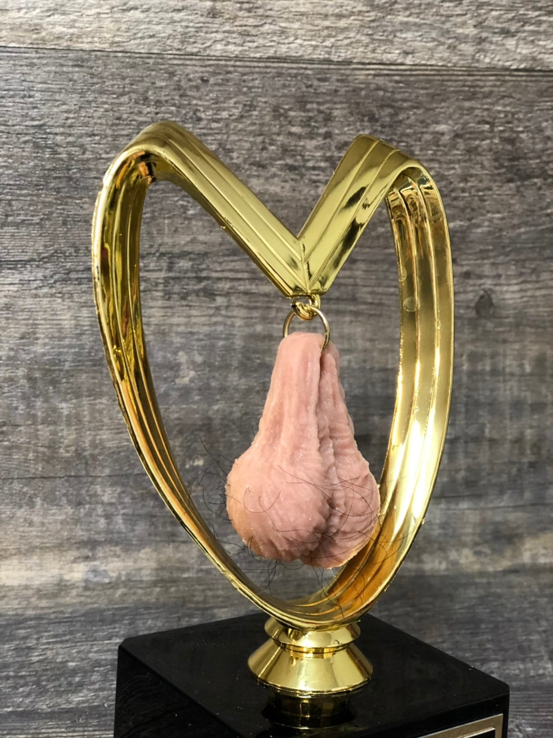Funny Trophy HAIRY Balls Trophy Wanna Hang Valentine's Day Gag Gift Wife Husband Boyfriend Girlfriend Adult Humor Penis Testicle Trophy Nuts