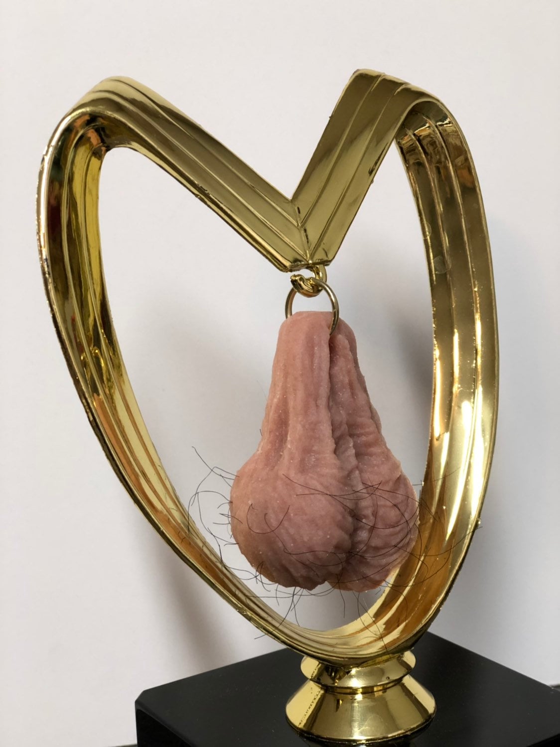 Funny Trophy HAIRY Balls Trophy Wanna Hang Valentine's Day Gag Gift Wife Husband Boyfriend Girlfriend Adult Humor Penis Testicle Trophy Nuts
