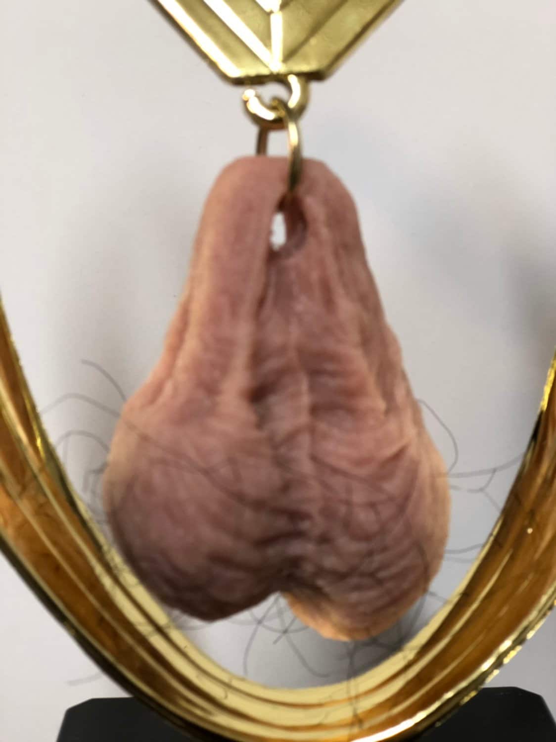 Funny Trophy HAIRY Balls Trophy Wanna Hang Valentine's Day Gag Gift Wife Husband Boyfriend Girlfriend Adult Humor Penis Testicle Trophy Nuts