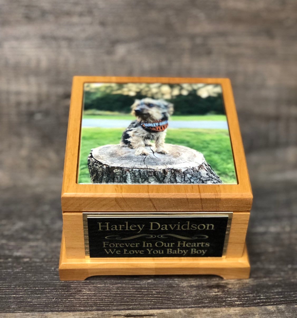 Pet Urn Dog Urn Pet Memorial Keepsake Box Yorkie Cremation Urn Custom Photo Tile & Tag Red Alder Small Dog / Animal Cat Urn Up To 25lbs