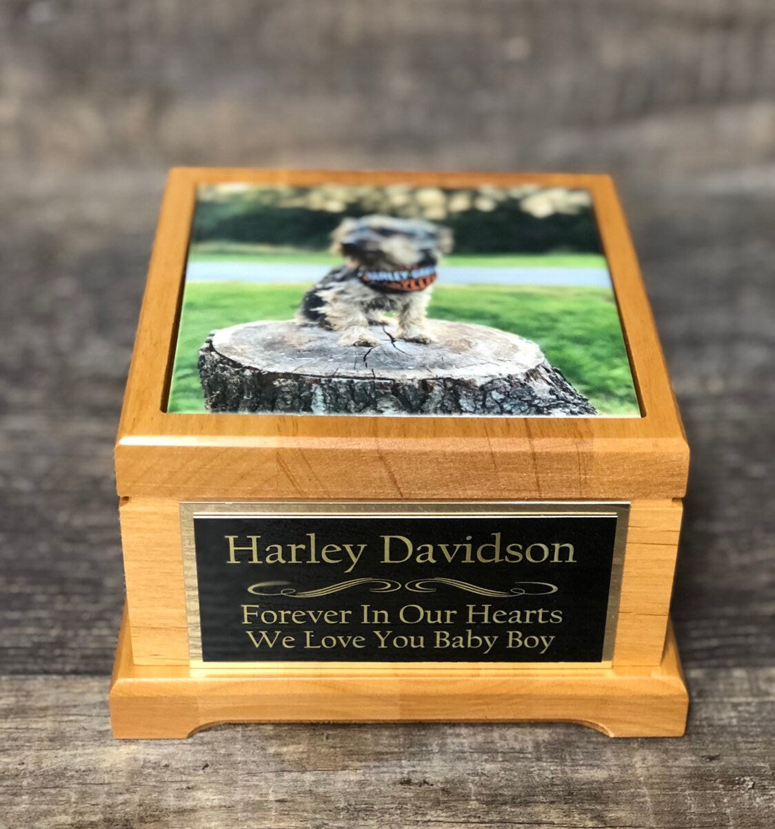 Pet Urn Dog Urn Pet Memorial Keepsake Box Yorkie Cremation Urn Custom Photo Tile & Tag Red Alder Small Dog / Animal Cat Urn Up To 25lbs