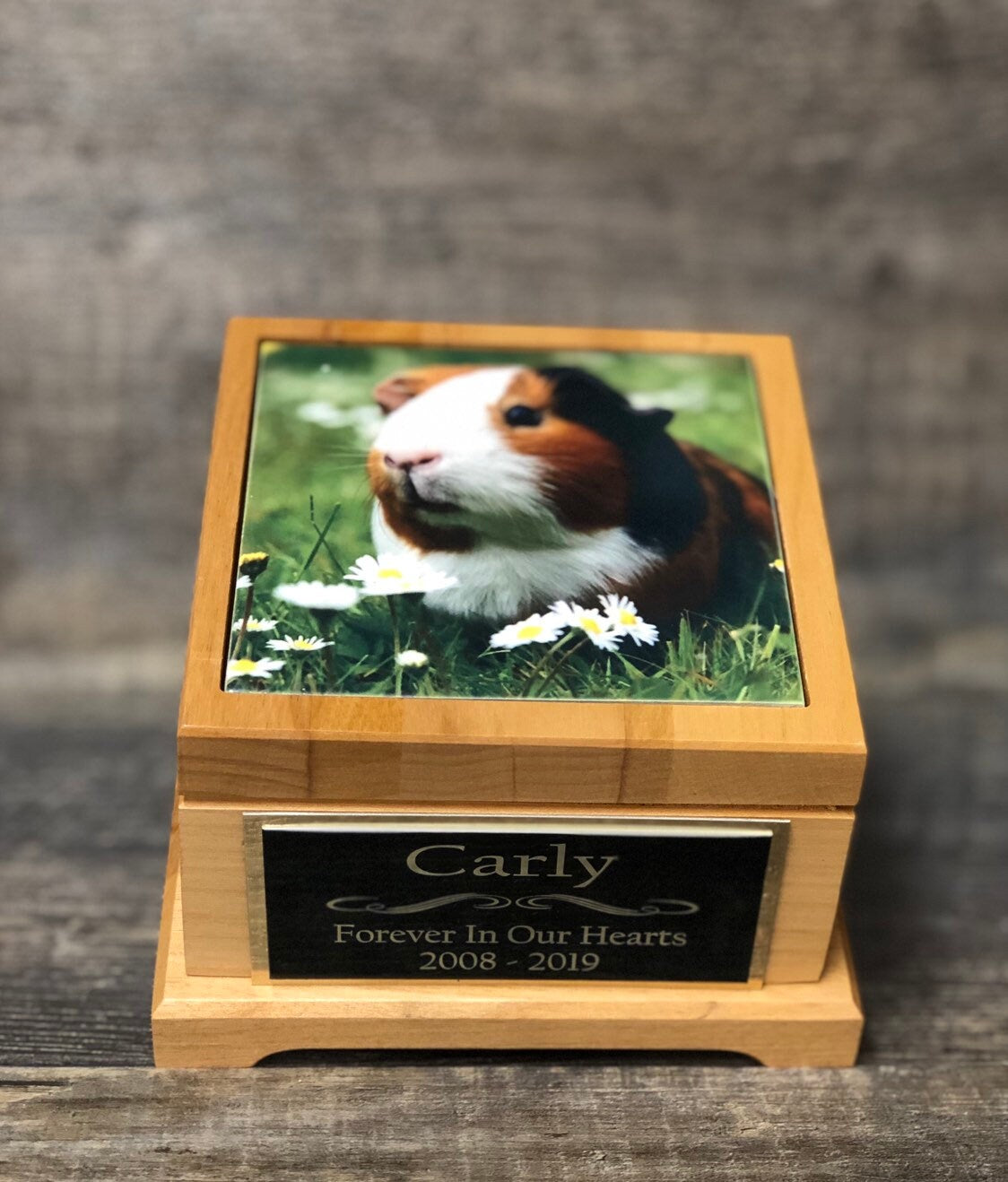 Guinea Pig Urn Small Animal Pet Urn Bunny Rabbit Urn Pet Memorial Keepsake Box Cremation Urn Custom Photo Tile & Engraved Tag To 25lbs