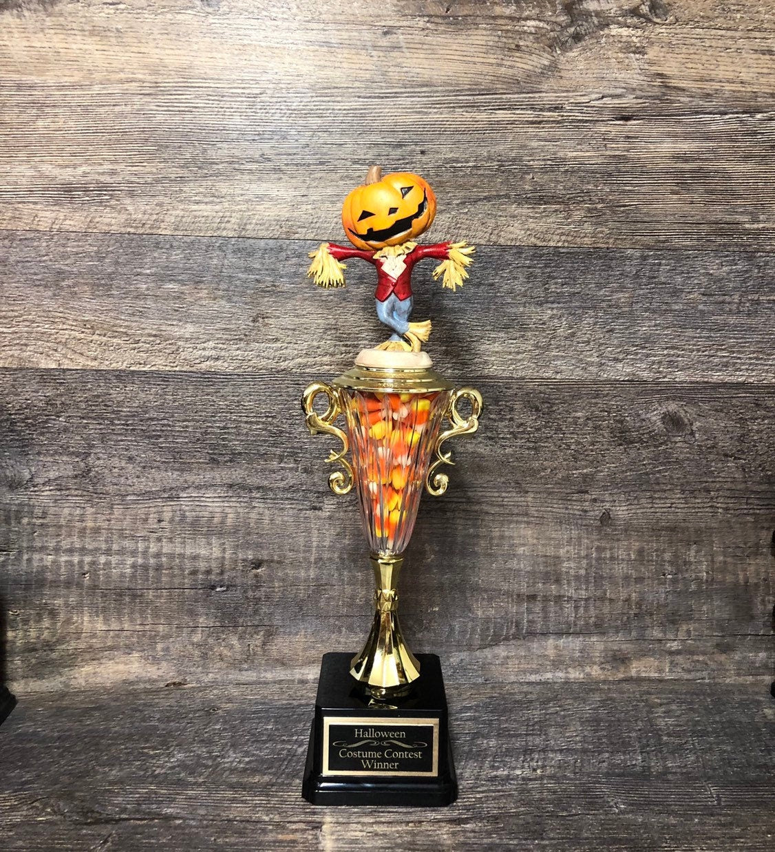 Halloween Trophy Costume Contest Winner Pumpkin Carving Contest Best Costume Scariest Costume Scarecrow Halloween Decor Trunk or Treat