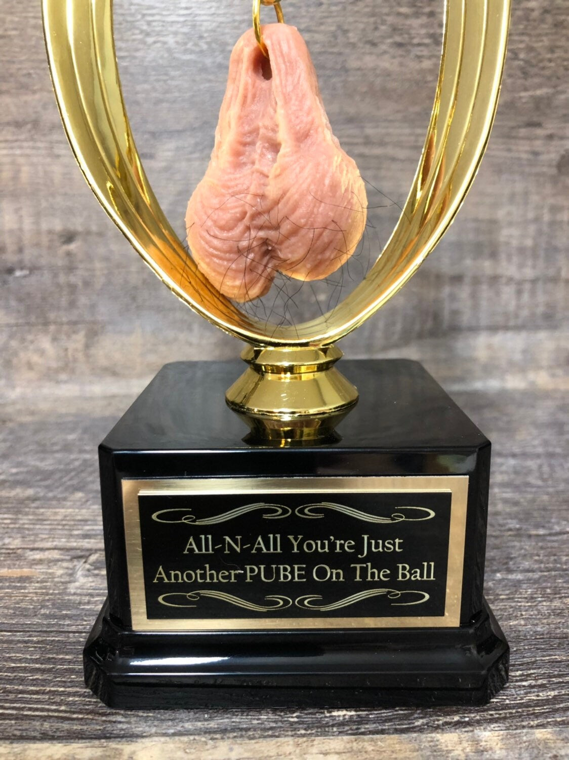 HAIRY BALLS All N' All You're Just Another Pube On The Ball Funny Trophy You Suck Loser Trophy FFL Sacko Adult Humor Gag Gift Testicle