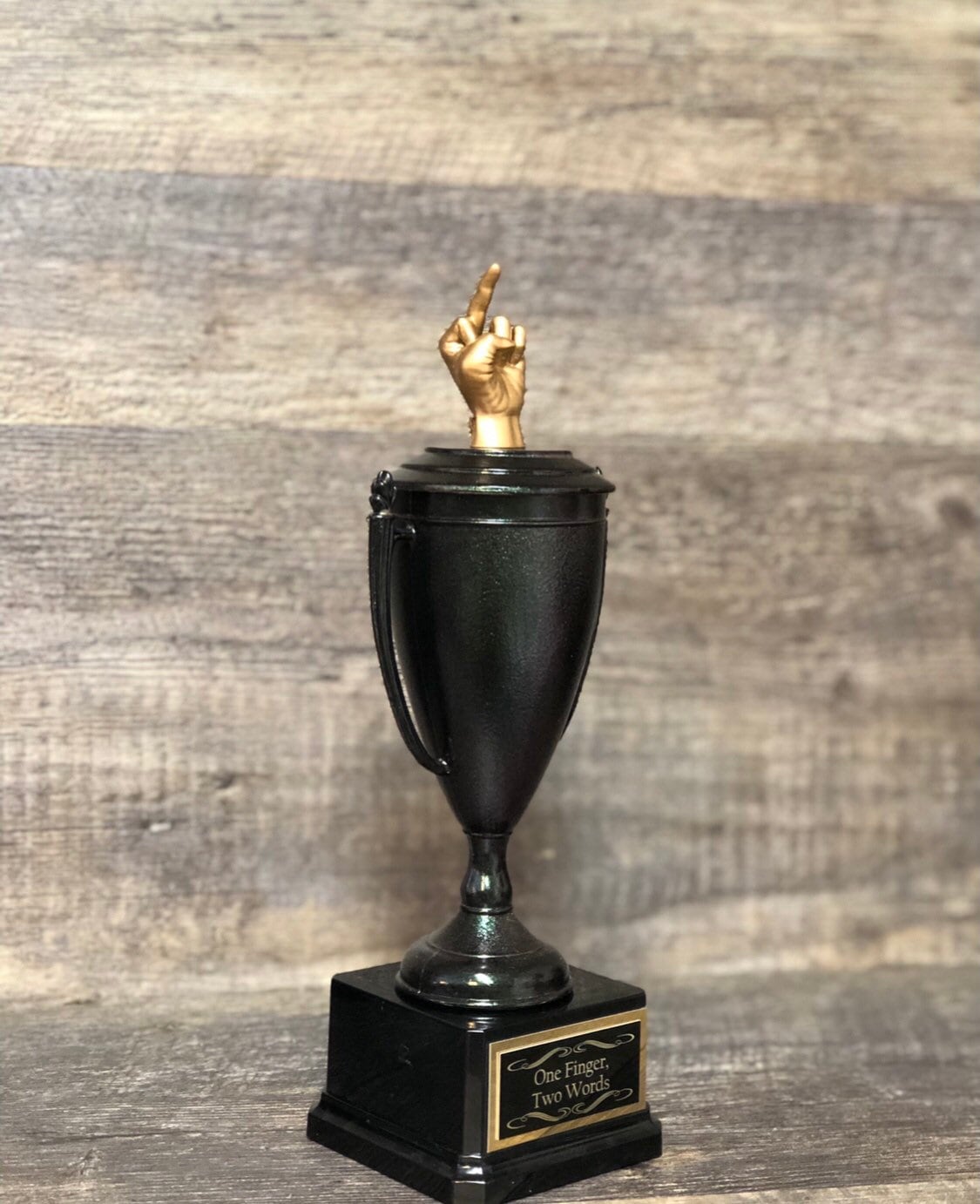 Middle Finger Funny Golf Trophy Hole In One Iridescent Cup Loser Award Adult Humor The Bird F*ck You One Finger Two Words Gag Gift