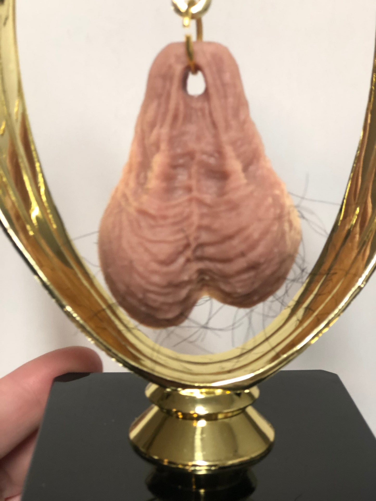 HAIRY Christmas Funny Trophy Adult Humor Gag Gift Testicle You Suck HAIRY Balls Fantasy Football Loser Trophy Last Place FFL Sacko Trophy
