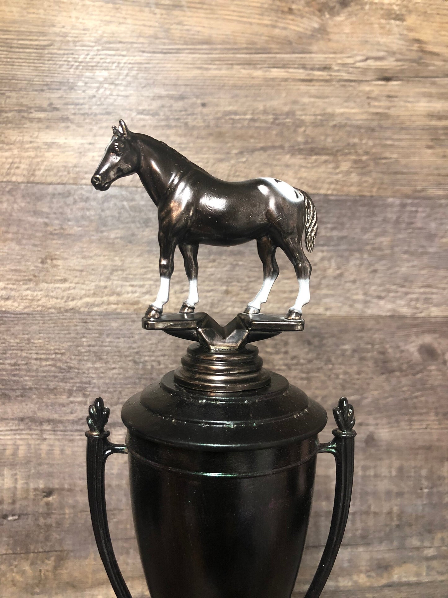 Horse Trophy Equestrian Cup Horse Best In Show Award Derby Cup Trophy Black Iridescent Cup With Appaloosa Horse Riding Equestrian Horseback
