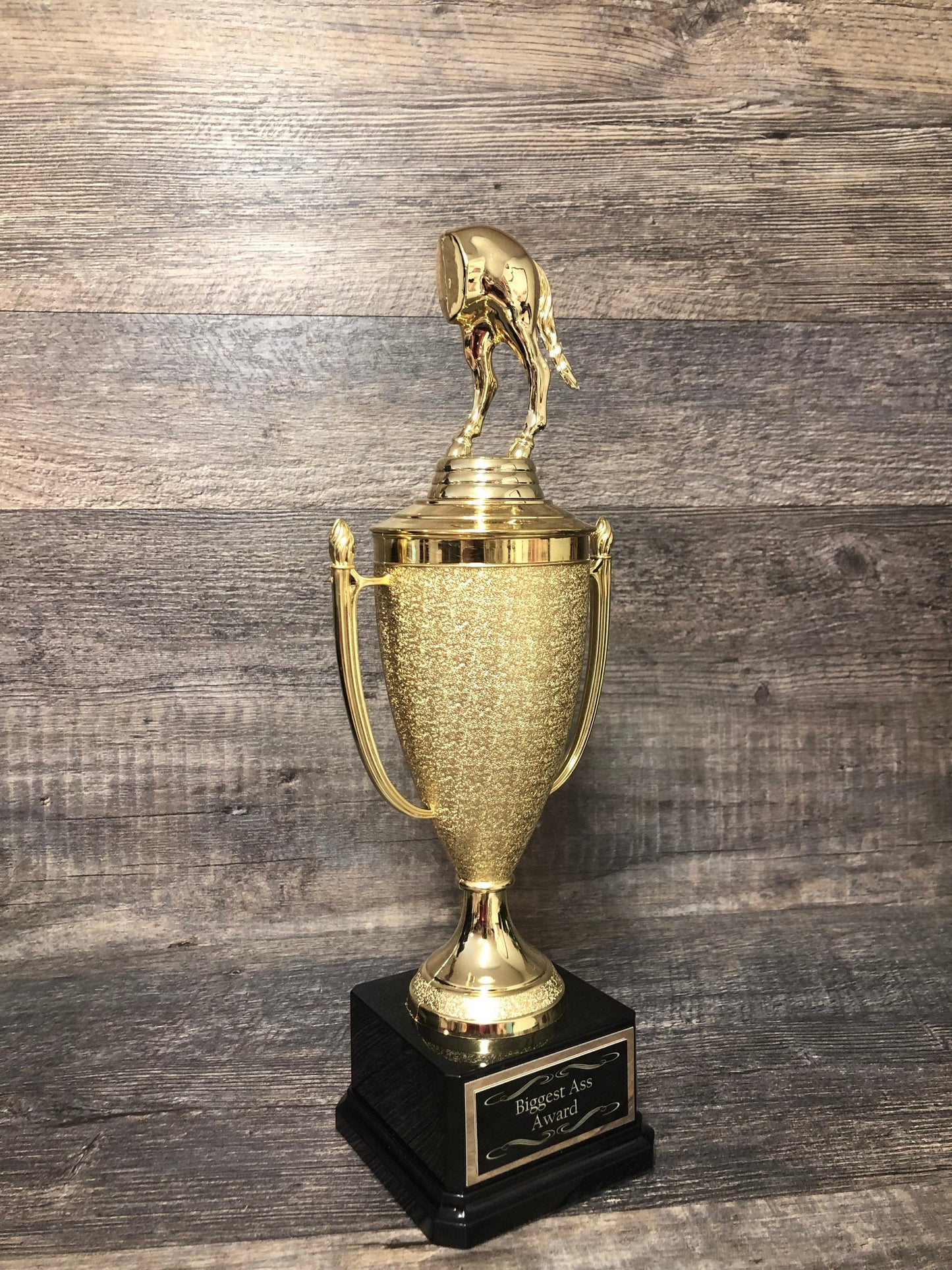 Funny Trophy Biggest Ass Award Jack Ass Trophy Cup Loser Award Adult Humor Gag Gift Biggest Horse's Ass Award Fantasy Football Loser Cup
