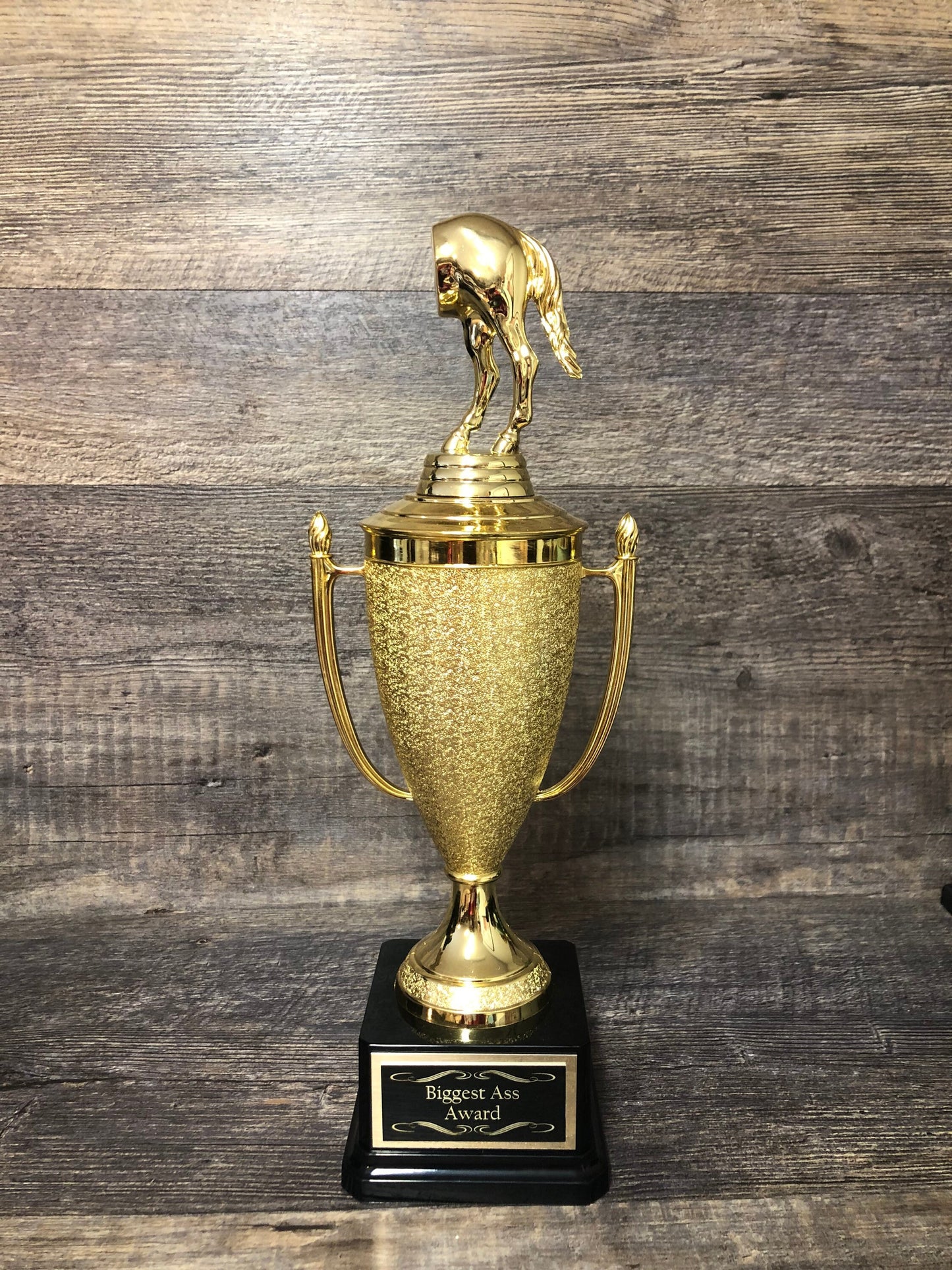 Funny Trophy Biggest Ass Award Jack Ass Trophy Cup Loser Award Adult Humor Gag Gift Biggest Horse's Ass Award Fantasy Football Loser Cup