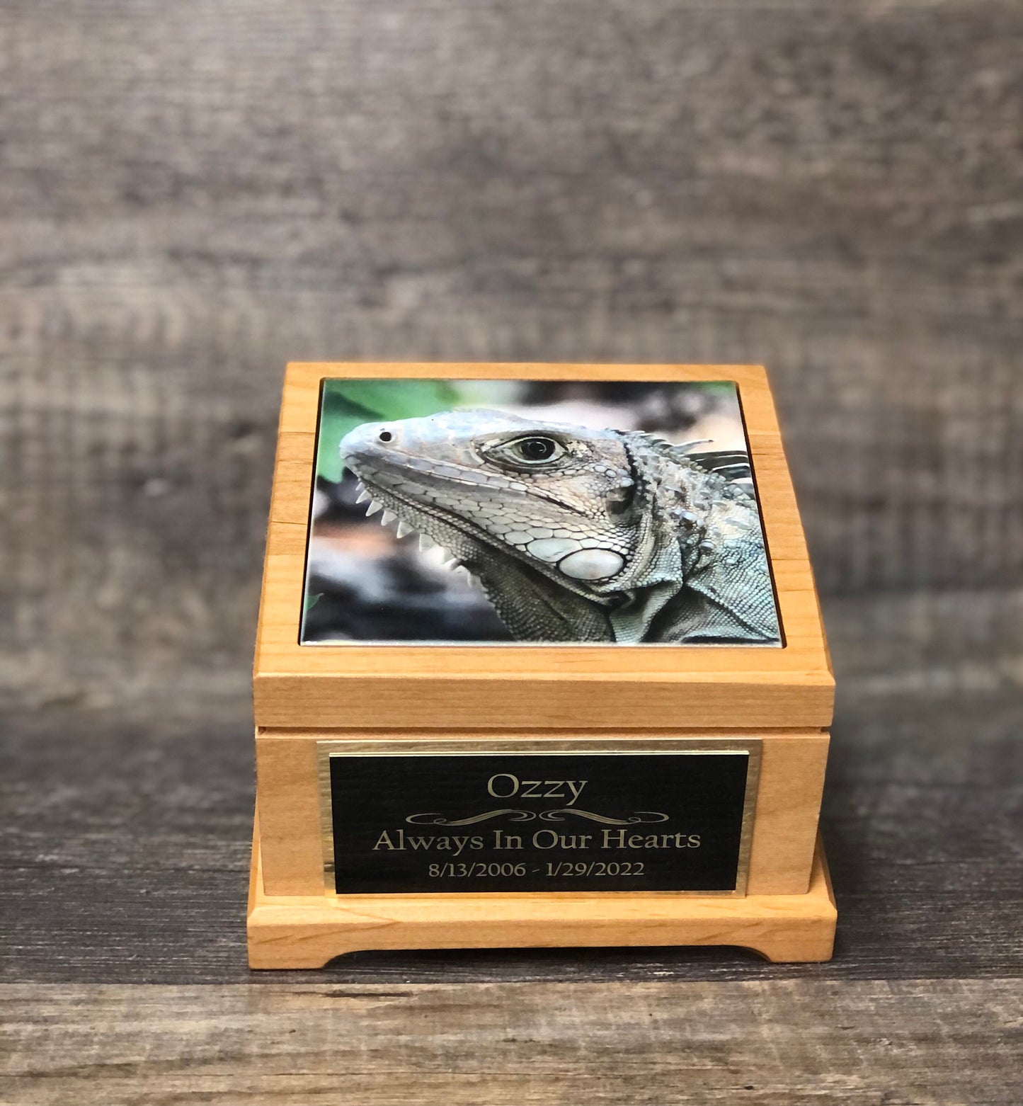 Reptile Urn Iguana Urn Small Animal Pet Urn Snake Urn Pet Memorial Keepsake Box Cremation Urn Custom Photo Tile & Engraved Tag To 25lbs