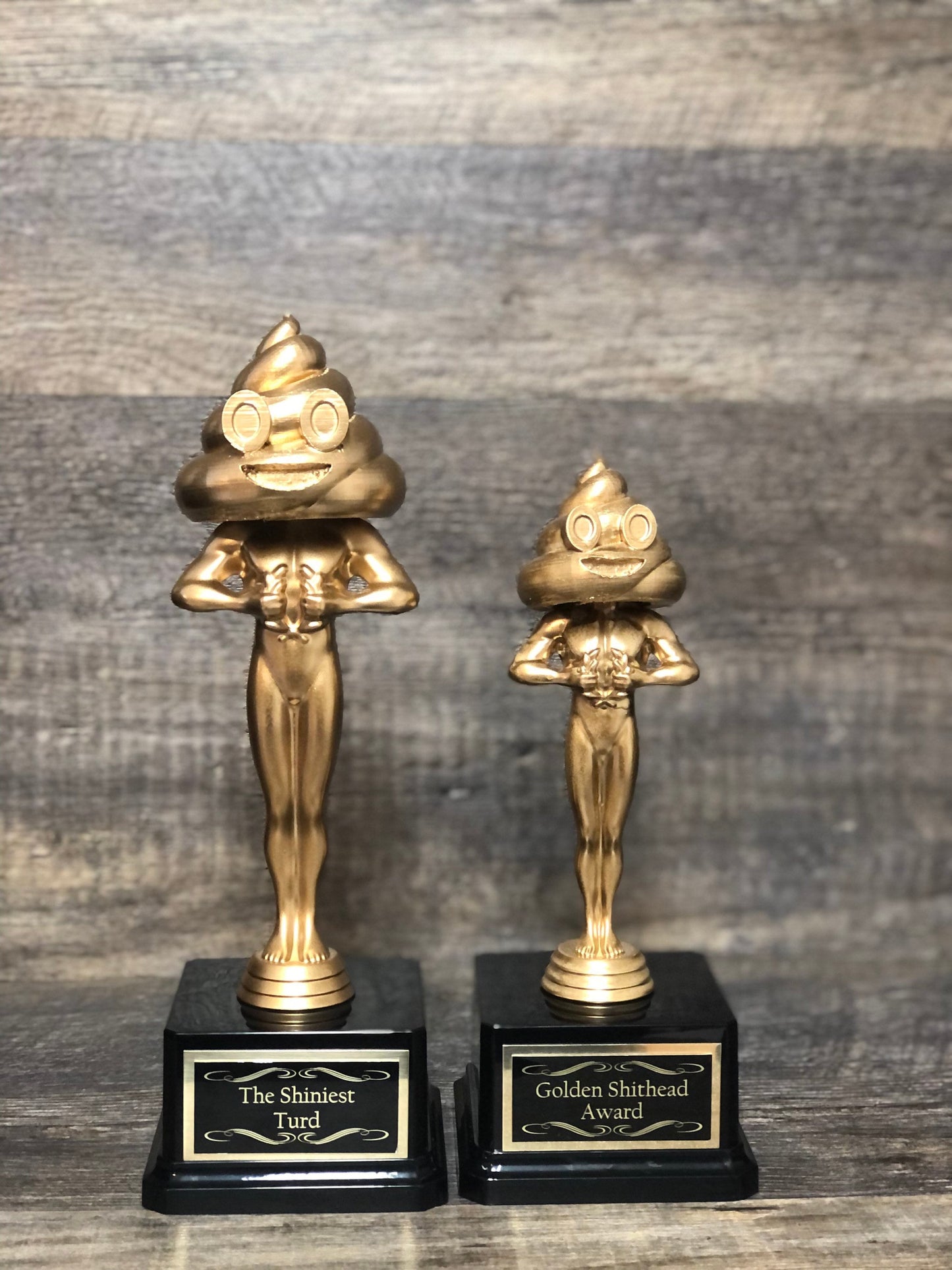 Cool As Shit Funny Trophy Golden Shit Head Poop Head Award Shiniest Turd Fantasy Football League LOSER FFL Last Place Fantasy Funny Award