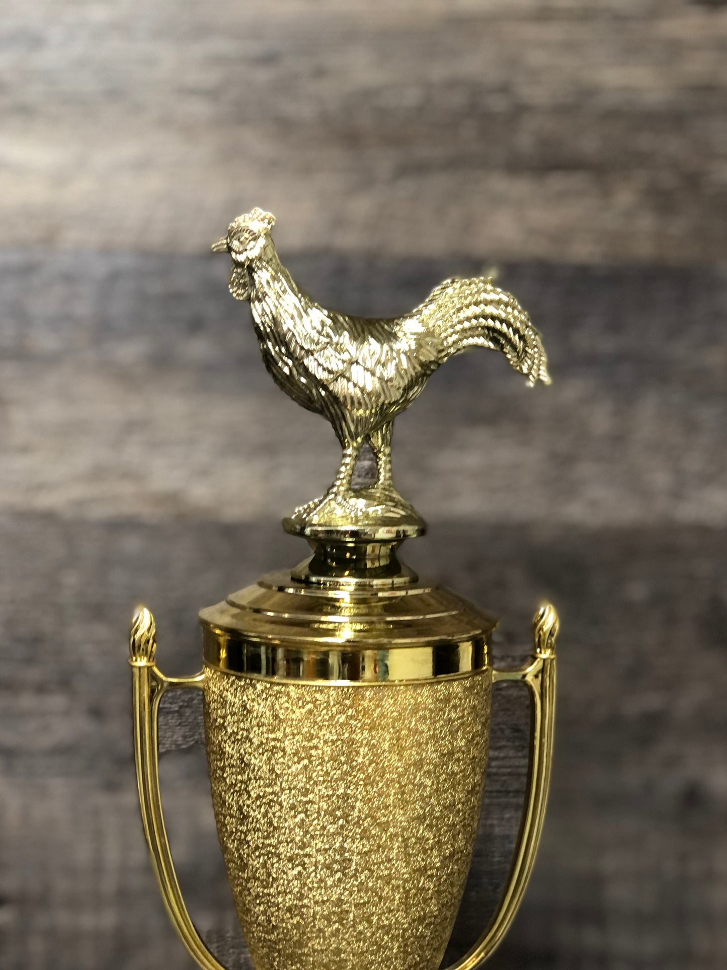 Funny Trophy Cock Of The Walk Award Biggest Cock Rooster Award Best Chicken Wings BBQ Cook Off Trophy Hot Wings Champion Funny Award