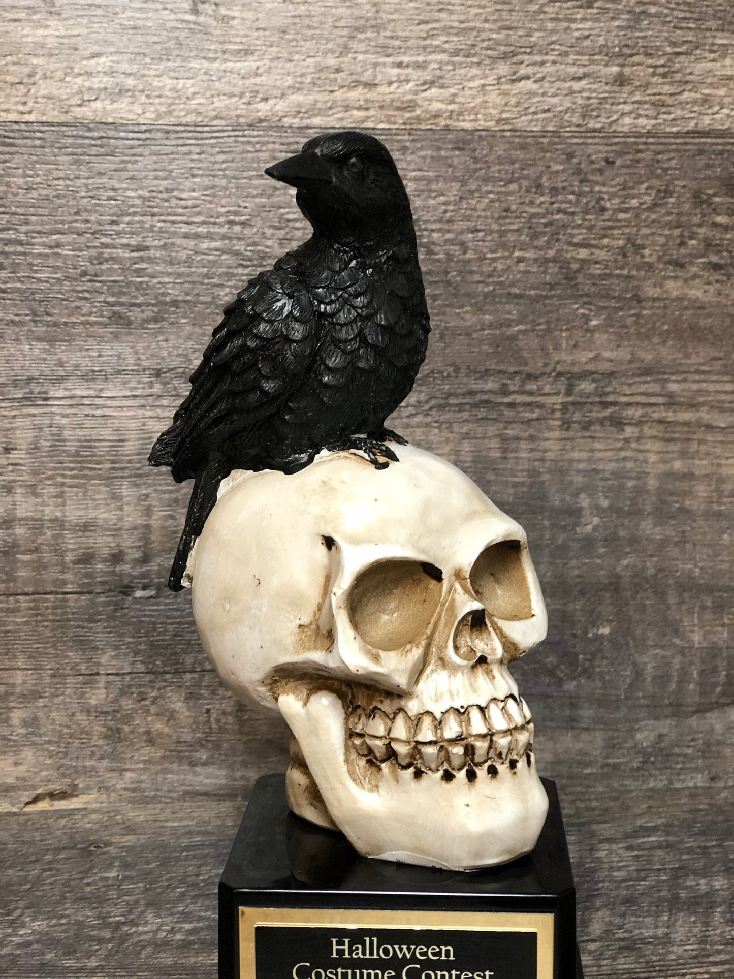 Halloween Trophy Raven & Skull Scariest Costume Contest Winner Best Costume Pumpkin Carving Halloween Decor Dia De Los Muertos