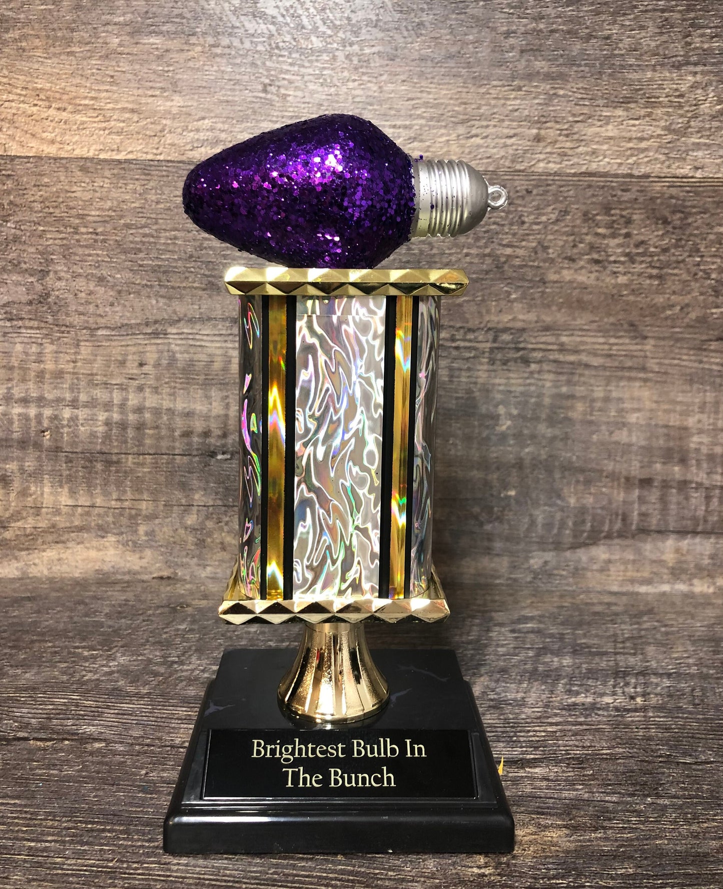 Best Decorated House Christmas Lights Trophy Neighborhood Brightest Bulb In The Bunch Christmas Ornament Ugly Sweater Holiday Trivia Party R