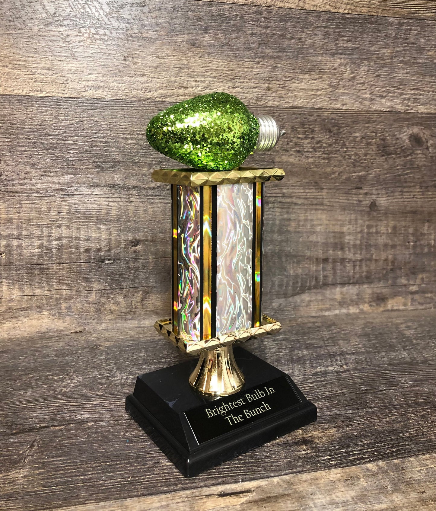 Best Decorated House Christmas Lights Trophy Neighborhood Brightest Bulb In The Bunch Christmas Ornament Ugly Sweater Holiday Trivia Party R
