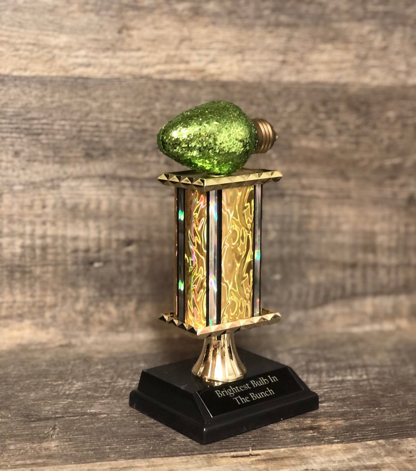 Best Decorated House Christmas Lights Trophy Neighborhood Brightest Bulb In The Bunch Christmas Ornament Ugly Sweater Holiday Trivia Party R