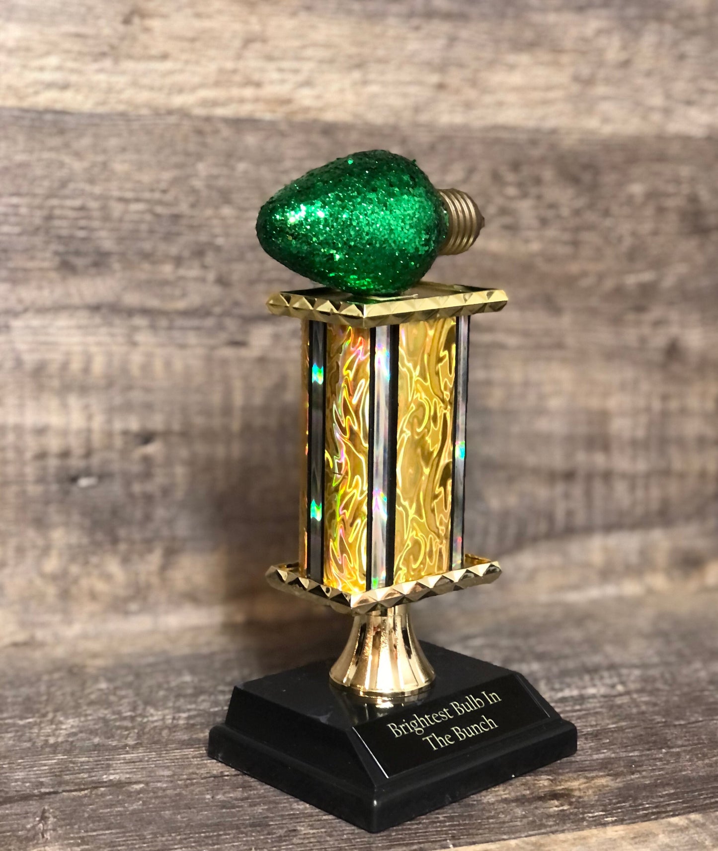 Best Decorated House Christmas Lights Trophy Neighborhood Brightest Bulb In The Bunch Christmas Ornament Ugly Sweater Holiday Trivia Party R