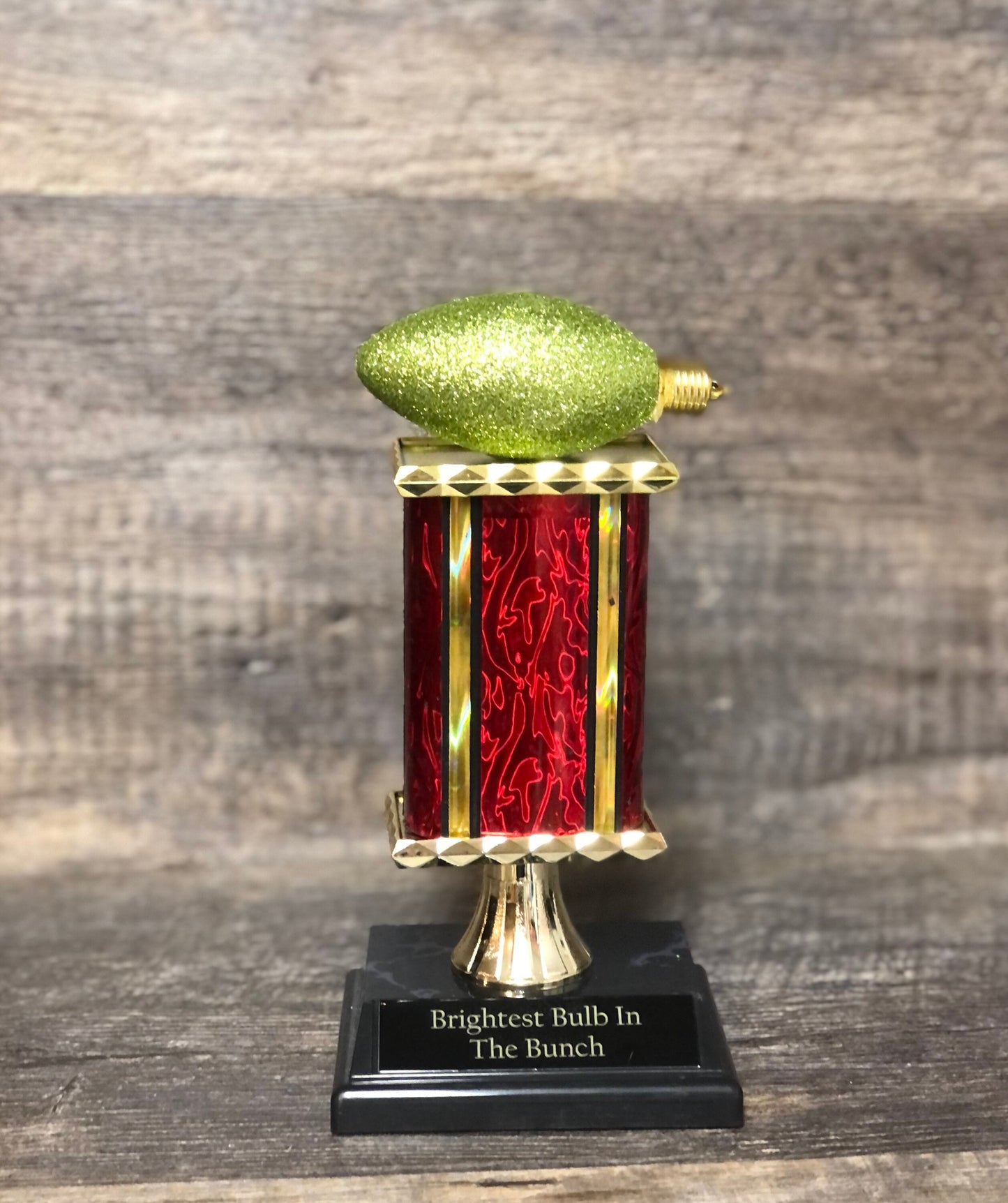 Best Decorated House Christmas Lights Trophy Neighborhood Brightest Bulb In The Bunch Christmas Ornament Ugly Sweater Holiday Trivia Party