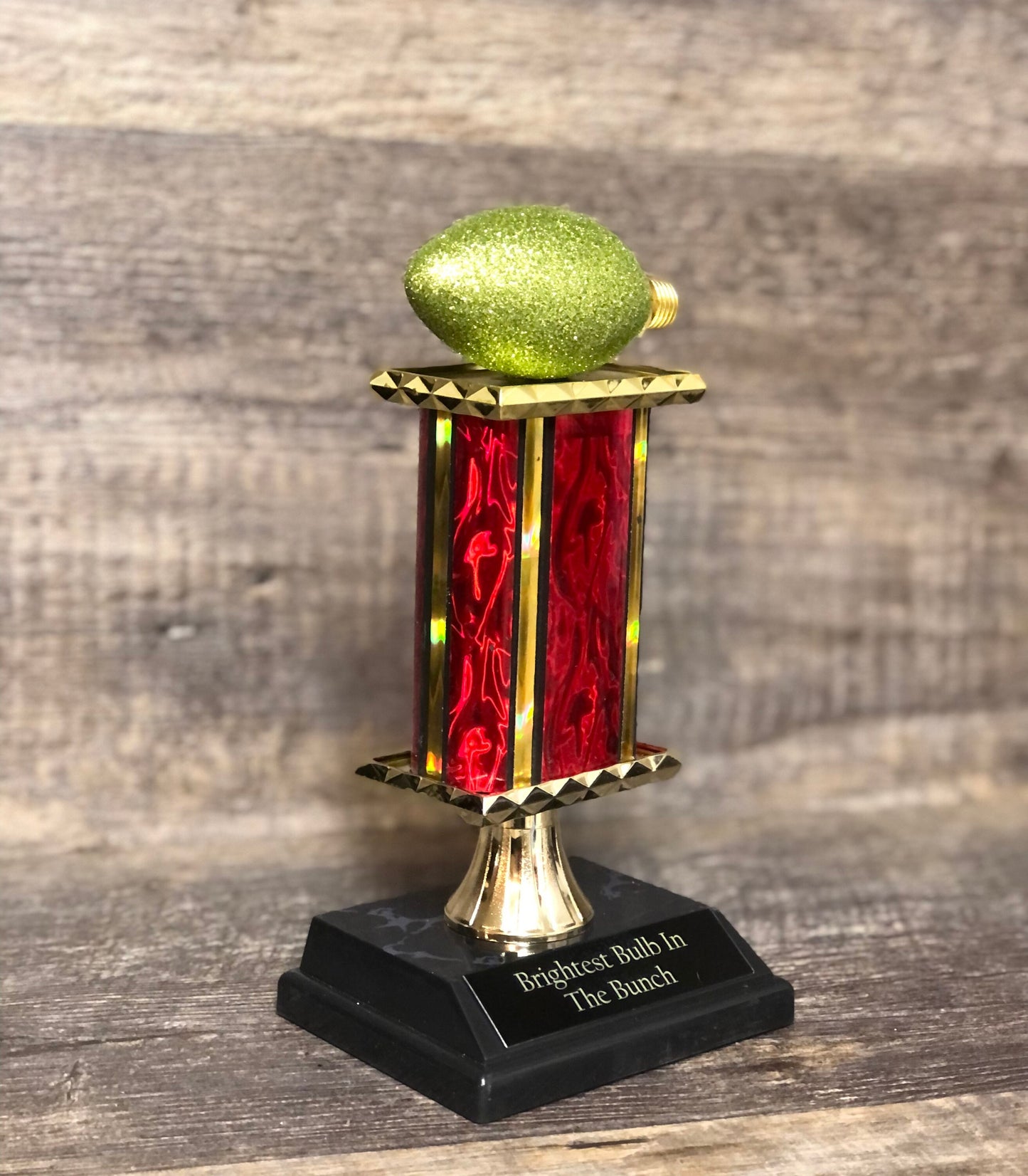 Best Decorated House Christmas Lights Trophy Neighborhood Brightest Bulb In The Bunch Christmas Ornament Ugly Sweater Holiday Trivia Party