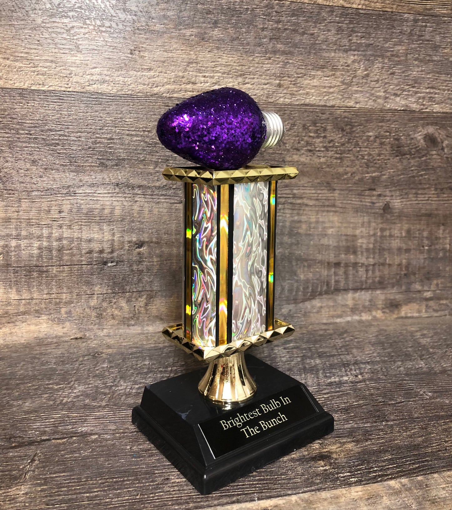 Best Decorated House Christmas Lights Trophy Neighborhood Brightest Bulb In The Bunch Christmas Ornament Ugly Sweater Holiday Trivia Party R