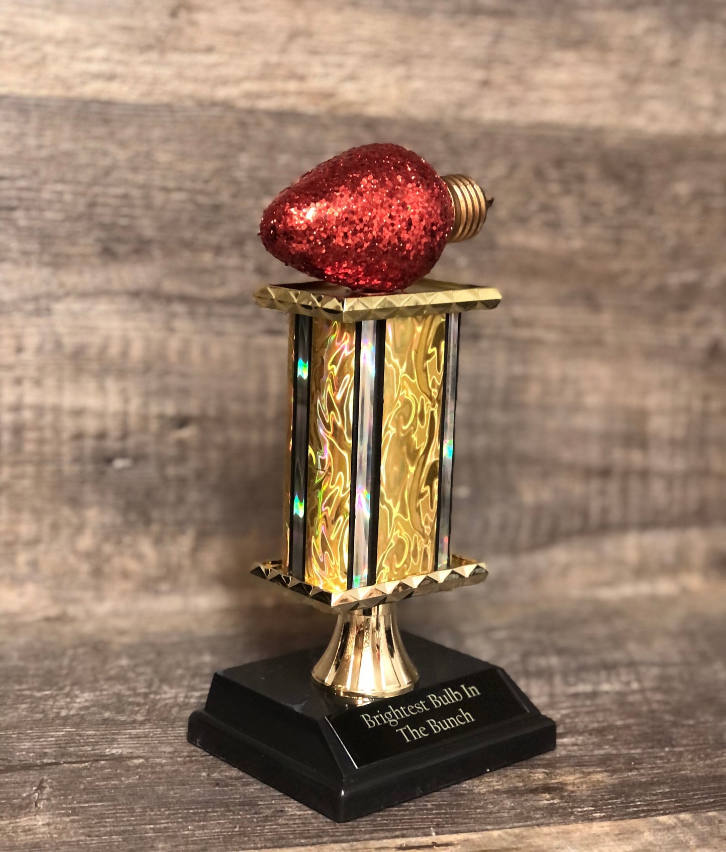 Best Decorated House Christmas Lights Trophy Neighborhood Brightest Bulb In The Bunch Christmas Ornament Ugly Sweater Holiday Trivia Party R
