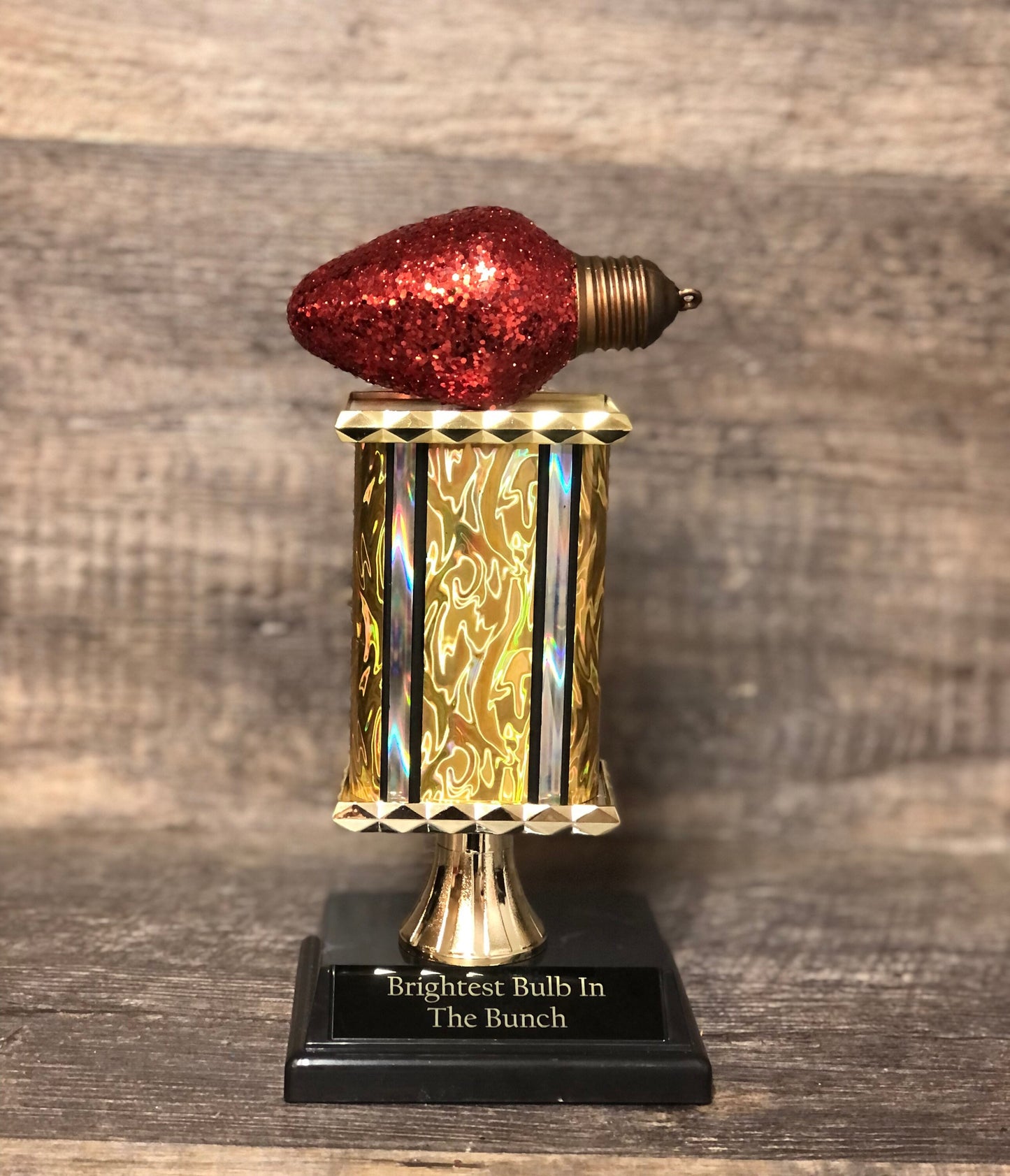 Best Decorated House Christmas Lights Trophy Neighborhood Brightest Bulb In The Bunch Christmas Ornament Ugly Sweater Holiday Trivia Party R