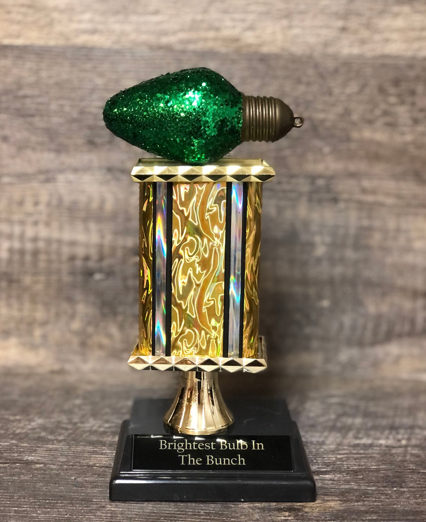 Best Decorated House Christmas Lights Trophy Neighborhood Brightest Bulb In The Bunch Christmas Ornament Ugly Sweater Holiday Trivia Party R