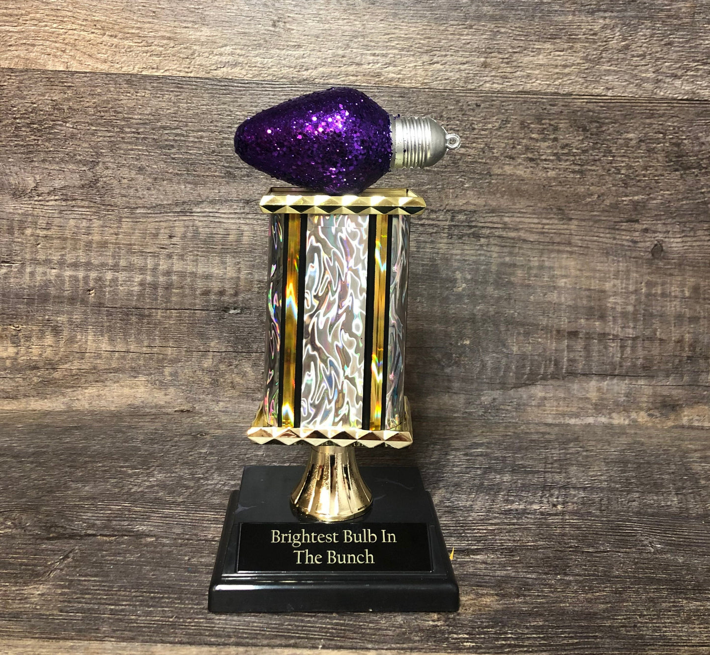 Best Decorated House Christmas Lights Trophy Neighborhood Brightest Bulb In The Bunch Christmas Ornament Ugly Sweater Holiday Trivia Party R