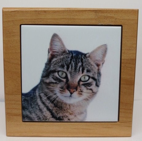 Custom Cat Memorial Urn Pet Urn Keepsake Cremation Urn Kitty Small Animal Custom Urn Photo Tile & Personalized Plate Red Alder Wood Urn