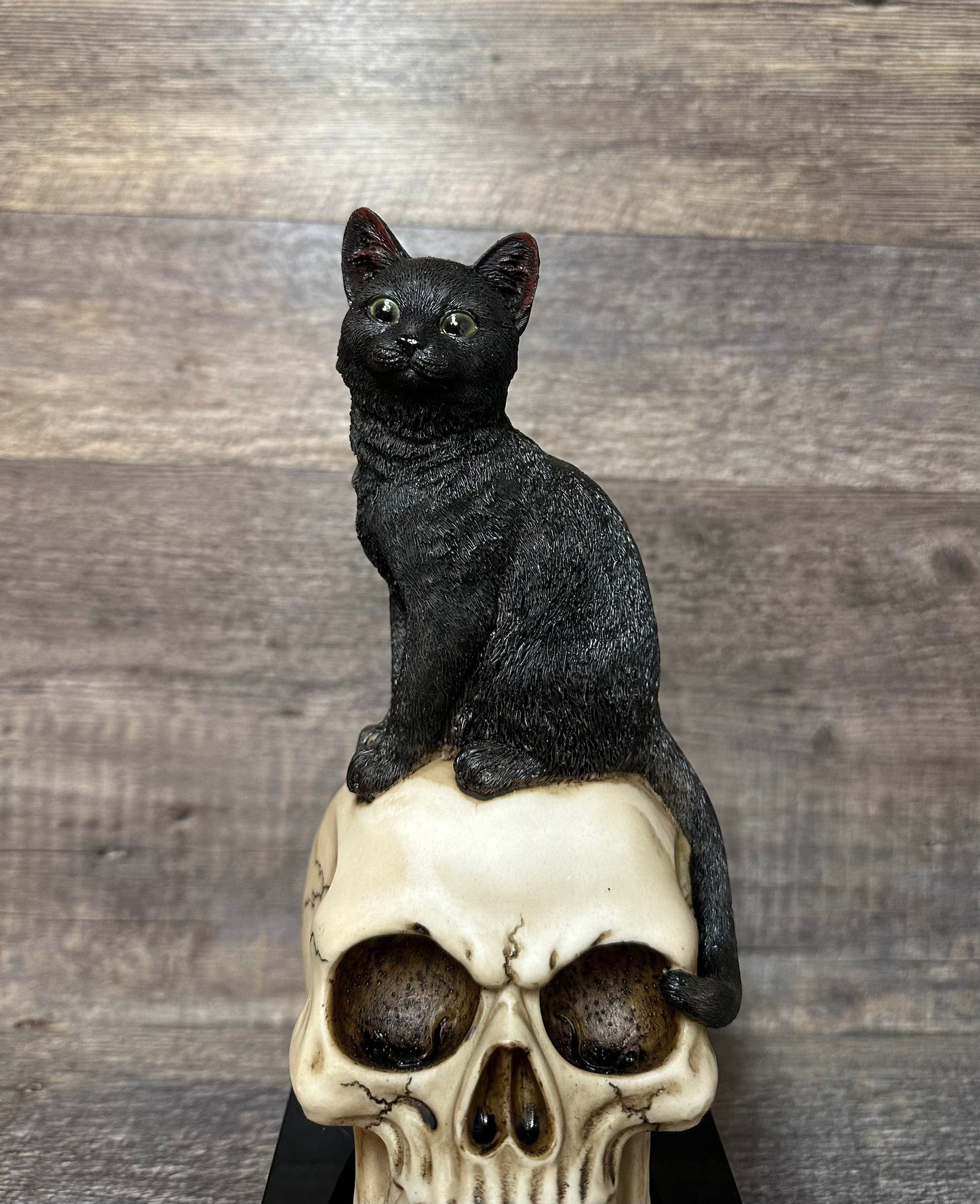 Halloween Trophy Black Cat On A Skull Costume Contest Winner Scariest Costume Pumpkin Carving Halloween Party Decor Dia De Los Muertos