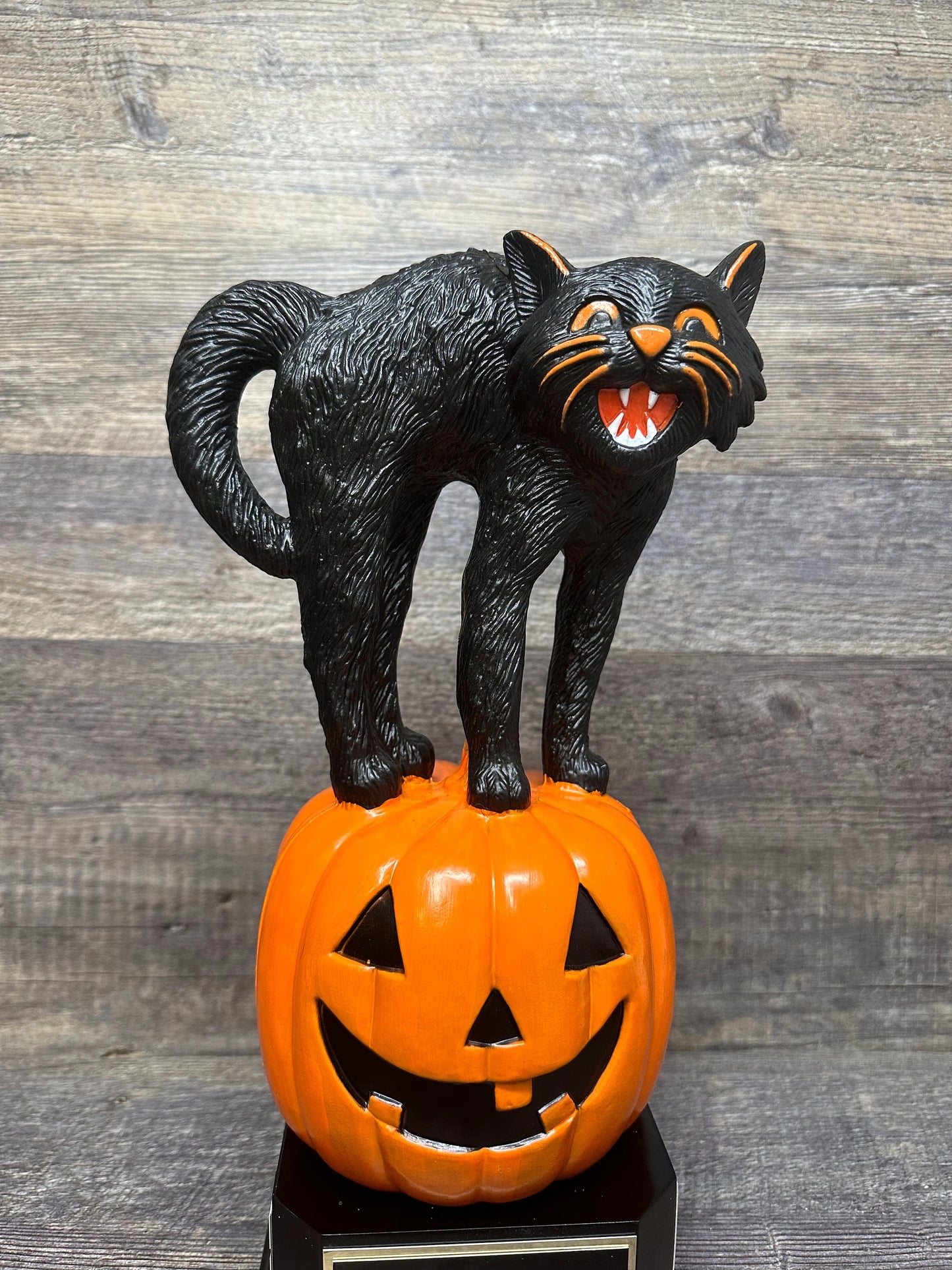 Perpetual Halloween Trophy Best Costume Black Cat On Pumpkin Trophy Scariest Costume Contest Dia De Los Muertos Halloween Decor Skull