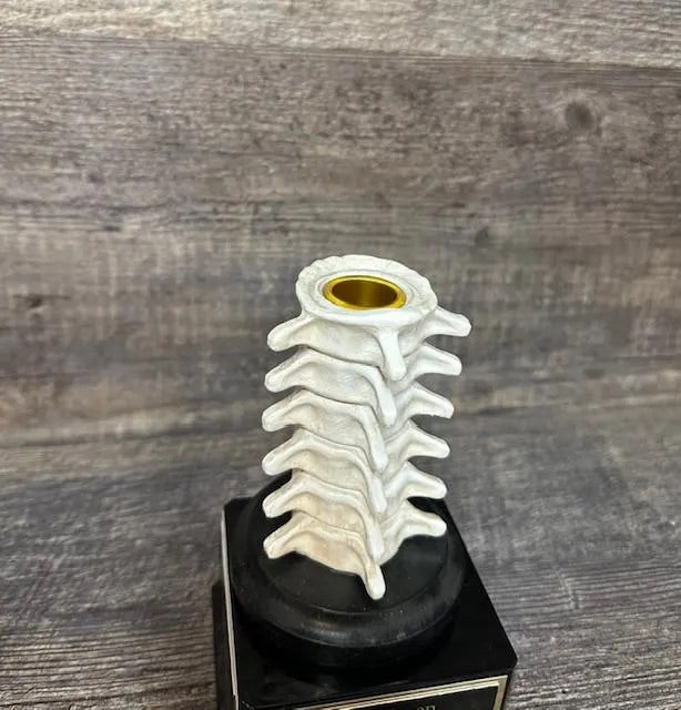 Halloween Trophy Spine Trophy Funny Trophy Have A Backbone Trophy You Finally Have A Back Bone Trophy Gag Gift Best Costume Halloween Decor