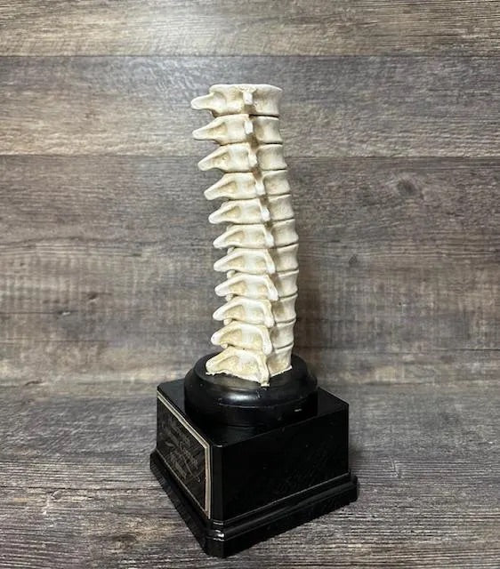 Halloween Trophy Spine Trophy Funny Trophy Have A Backbone Trophy You Finally Have A Back Bone Trophy Gag Gift Best Costume Halloween Decor
