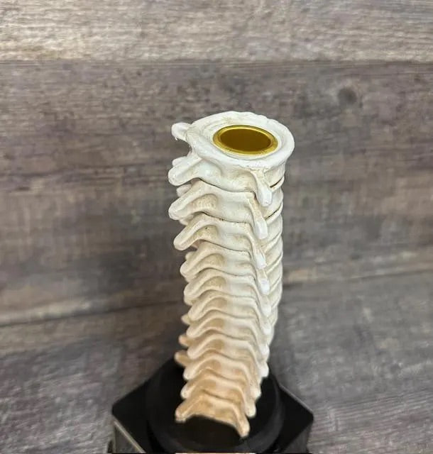 Halloween Trophy Spine Trophy Funny Trophy Have A Backbone Trophy You Finally Have A Back Bone Trophy Gag Gift Best Costume Halloween Decor