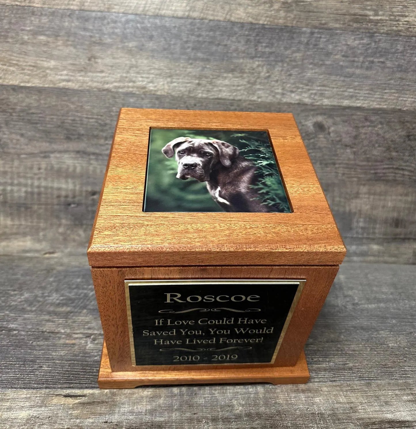 XL Mahogany Dog Urn – Custom Photo Memorial Keepsake Cremation Urn for Large Breed Dogs (Up to 150 lbs) Great Dane Rottweiler Mastiffs