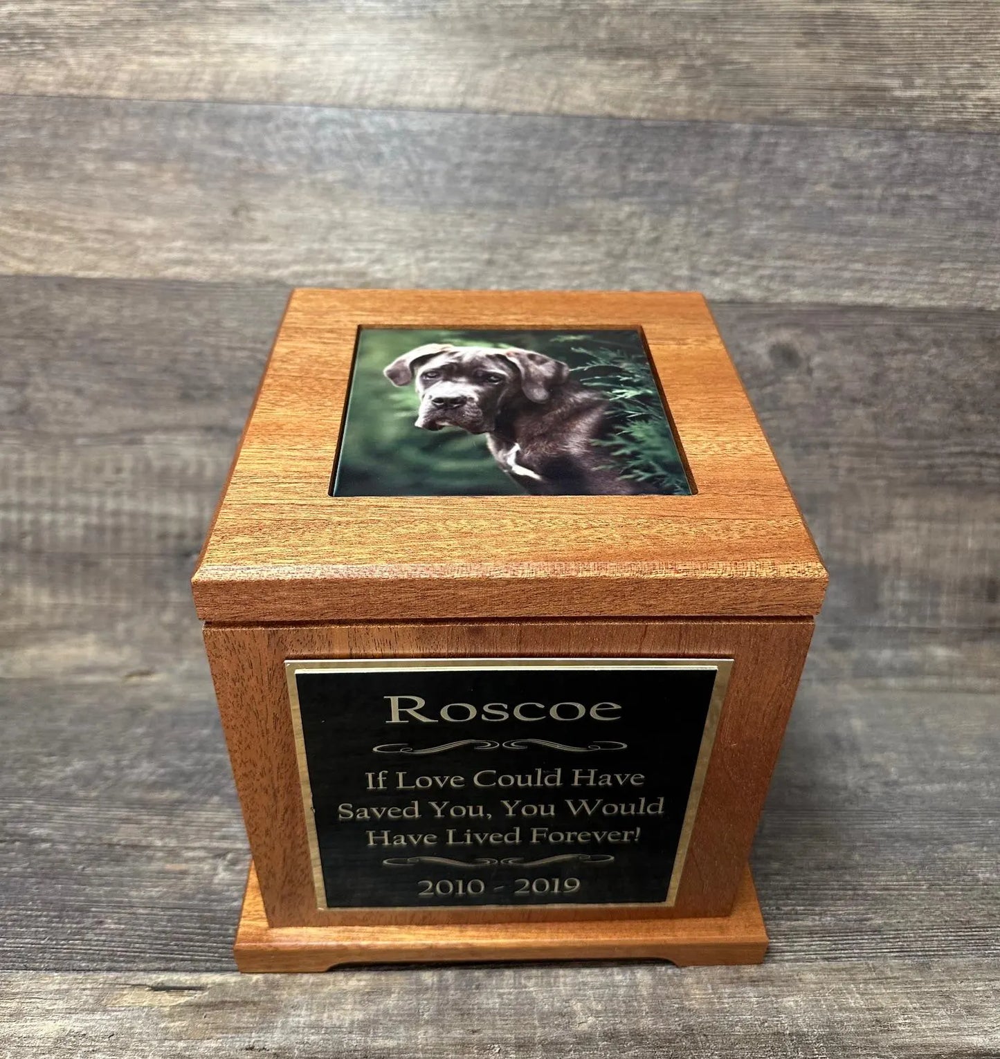 XL Mahogany Dog Urn – Custom Photo Memorial Keepsake Cremation Urn for Large Breed Dogs (Up to 150 lbs) Great Dane Rottweiler Mastiffs