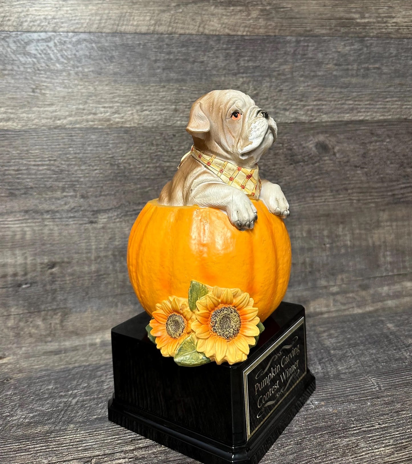 XL Dog In Pumpkin Howl-O-Ween Trophy Halloween Trophy Best Costume Contest Pumpkin Carving Contest Halloween Pumpkin Decor Trunk or Treat
