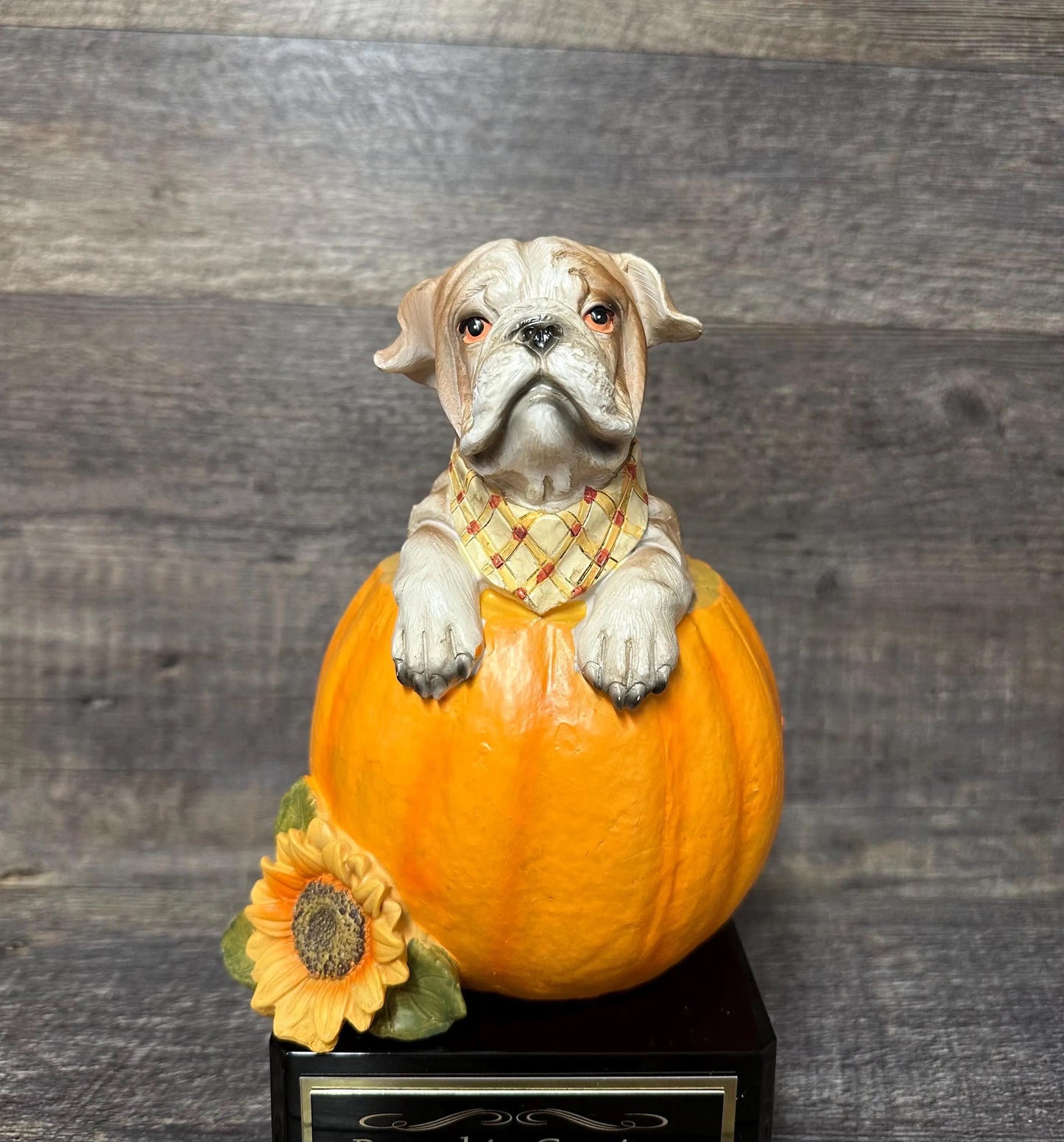 XL Dog In Pumpkin Howl-O-Ween Trophy Halloween Trophy Best Costume Contest Pumpkin Carving Contest Halloween Pumpkin Decor Trunk or Treat
