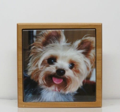 Custom Memorial Dog Urn Pet Urn Memorial Keepsake Box Yorkie Cremation Urn Custom Photo Tile Red Alder Small Dog /Animal Cat Urn Up To 25lbs